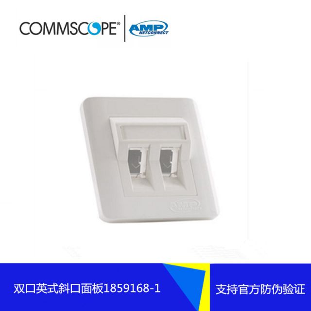 AMP雙口網絡面板